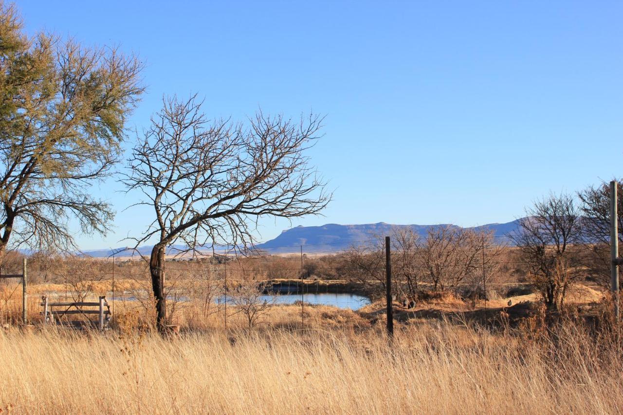 A Dam'S View Accommodation 昆斯敦 外观 照片